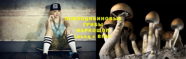 прущая мука Белокуриха
