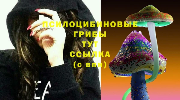 прущая мука Белокуриха