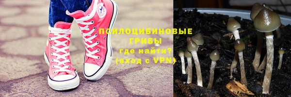 прущая мука Белокуриха