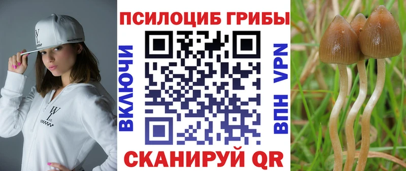 Псилоцибиновые грибы Cubensis  Чусовой 